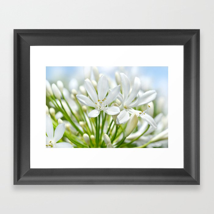 White flower macro 034 Framed Art Print