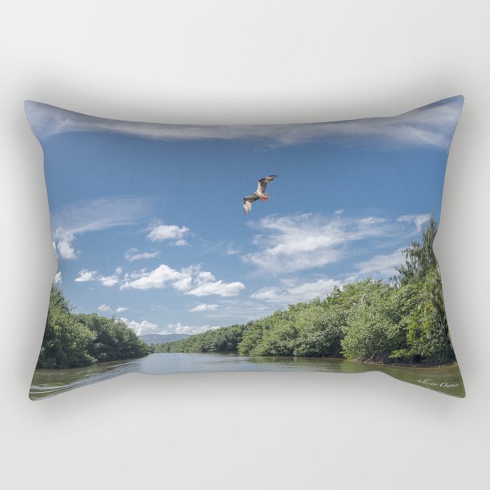 Rio Espiritu Santo y Osprey Rectangular Pillow