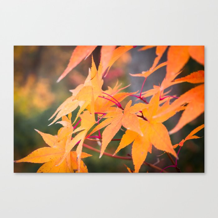 Autumn Yellow Canvas Print