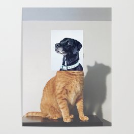 domestic animal Poster
