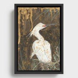Snowy Egret Framed Canvas