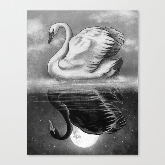 Dark Mirror Canvas Print