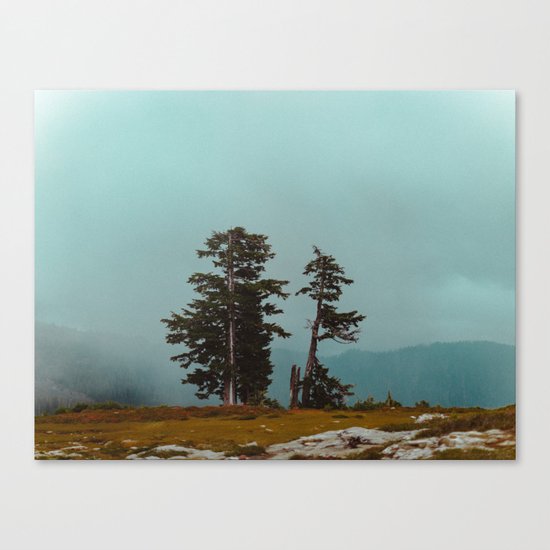 Pacific Northwest Wild Canvas Print