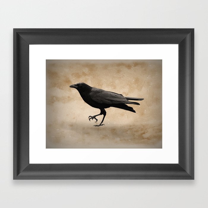 Rustic Crow Black Bird Modern Country Mordern Cottage Art A491 Framed Art Print