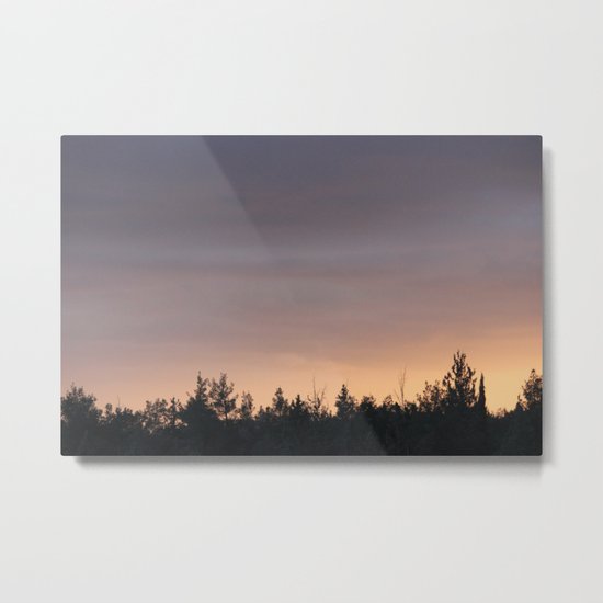 What is Life? Metal Print
