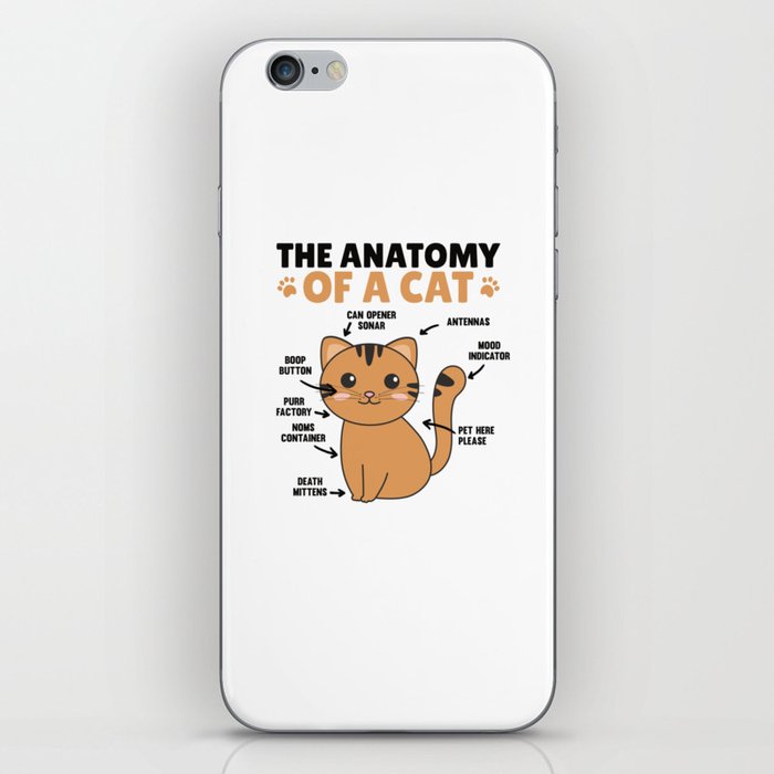 The Anatomy Of A Cat Explanation Of A Cat iPhone Skin