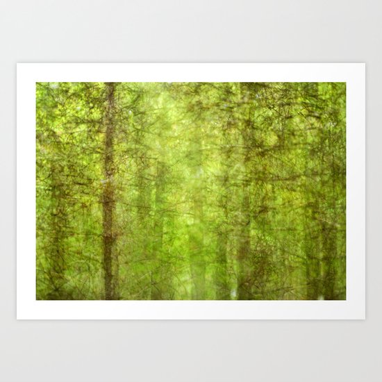 Pine forests Art Print