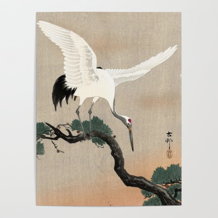 Japanese Crane on Branch of Pine, 1900-1930 by Ohara Koson Poster