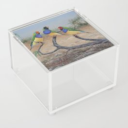 Colorful tropical songbirds, Gouldamadines Acrylic Box