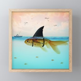 goldfish with a shark fin Framed Mini Art Print
