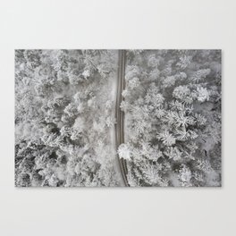 frozen Forest Aerial View Canvas Print