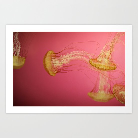Jelly #1 Art Print