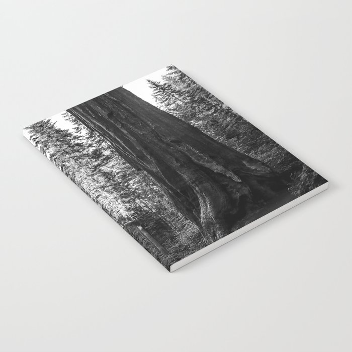 Twin giant redwoods II portrait version / sequoias Pacific Coast California nature black and white landscape photograph / photography Notebook