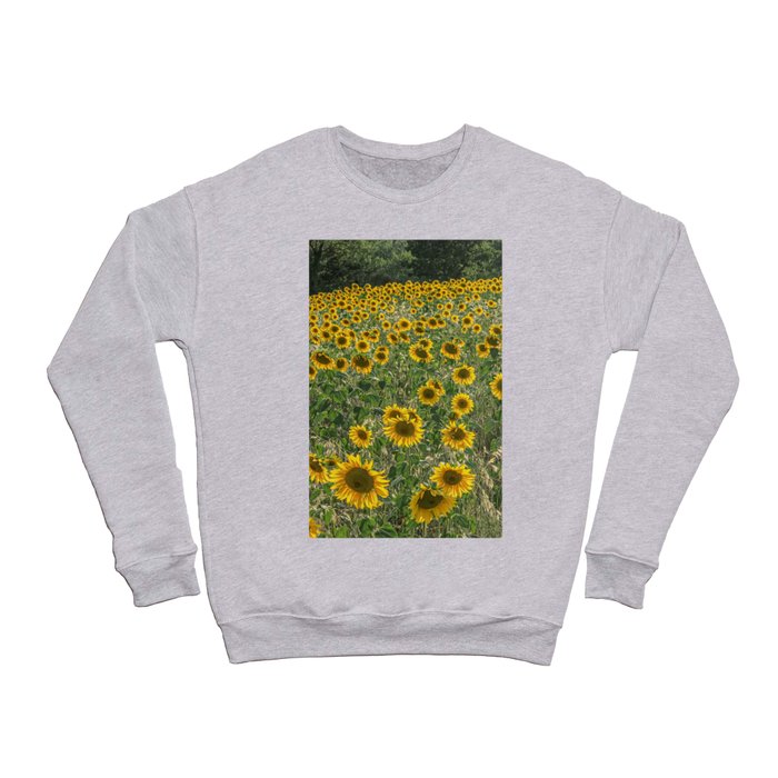 Sunflower Field Crewneck Sweatshirt