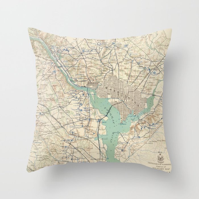 Throw Pillow