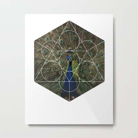Beautiful Peacock - Geometric Photography Metal Print