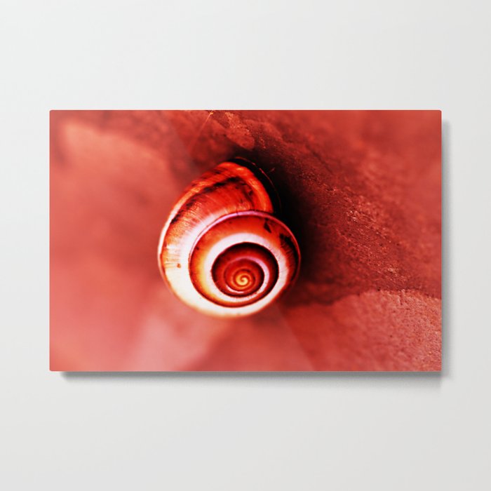 Red Shell Metal Print