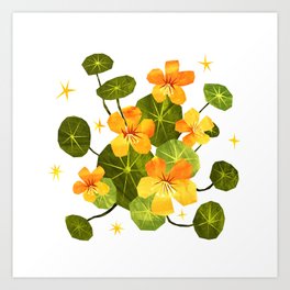Nasturtium Flowers Art Print