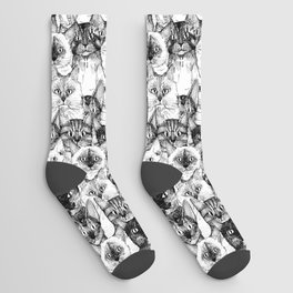 just cats Socks