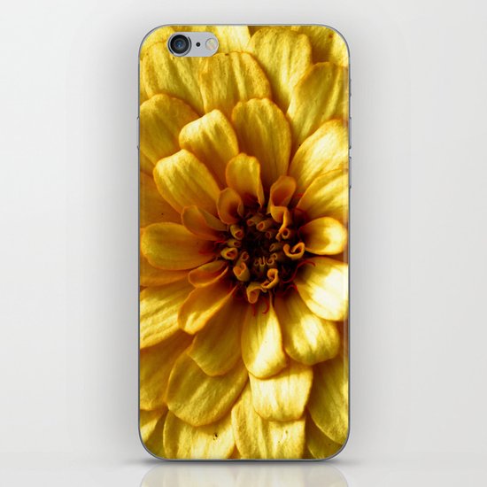 Gold iPhone & iPod Skin