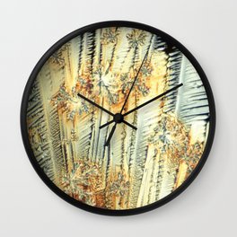 Vitamin C Sources for Happiness Wall Clock