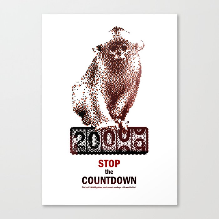 Save Golden Monkeys Canvas Print