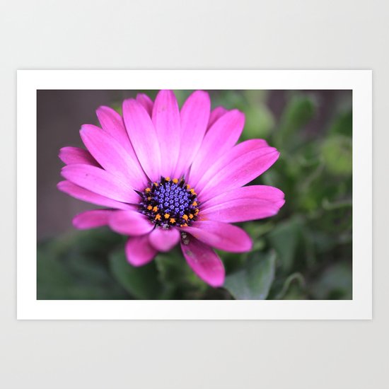 flowers flowers flowers Art Print