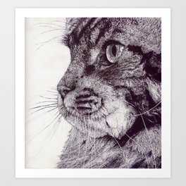 Big Cat Art Print | Animal, Painting, Illustration 