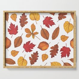 Autumn Leaves Watercolor Pattern | Fall Leaves | Autumn Foliage Design | Serving Tray