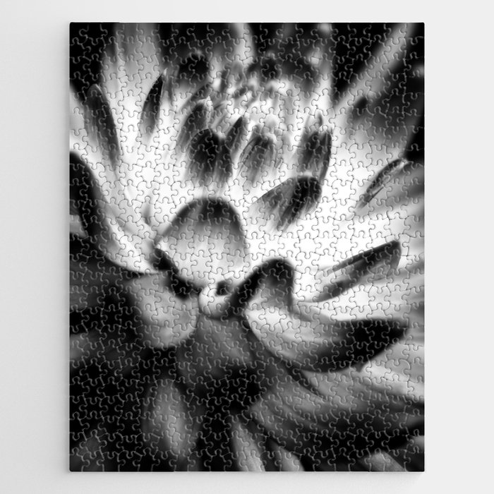 Dramatic Black And White Dahlia Jigsaw Puzzle