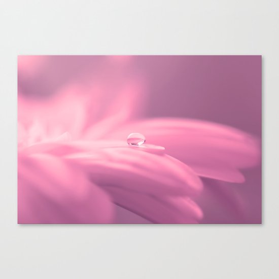 Lonely droplet pink daisy flower - Floral on #Society6 Canvas Print