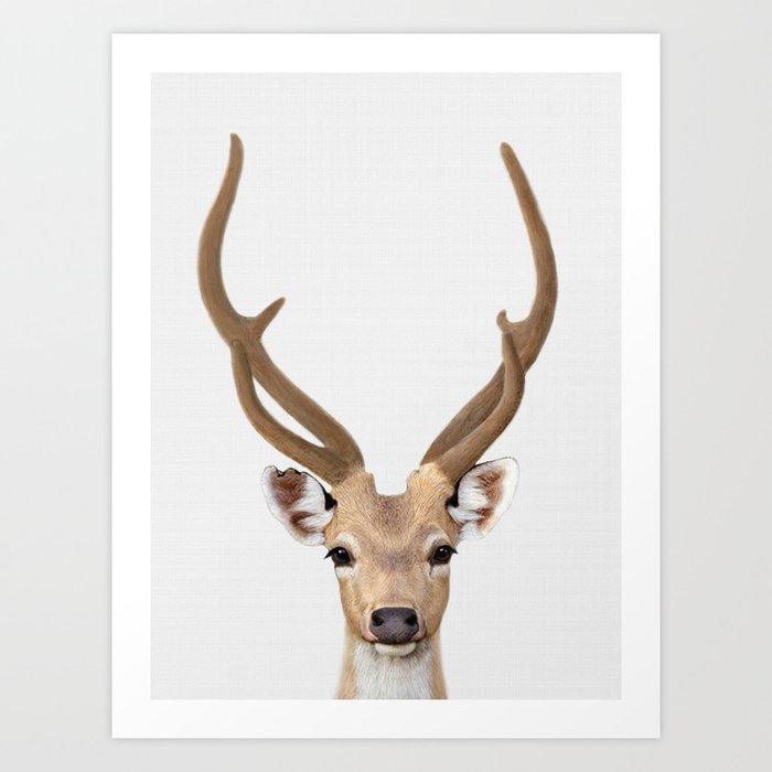 Deer Print Art Animal Prints Nursery Decor Deer Print Art Animal Prints Nursery Decor Animals