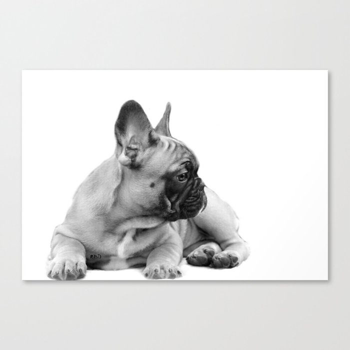 FrenchBulldog Puppy Canvas Print