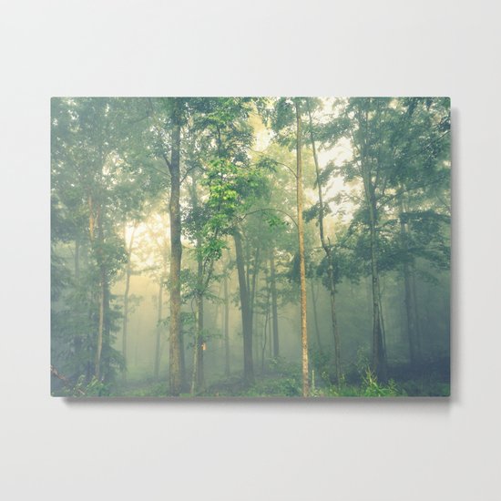Beyond the Mist Lies Another World Metal Print