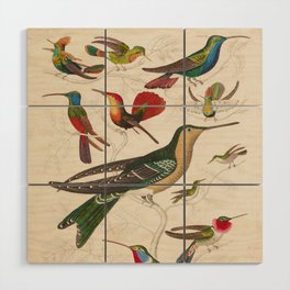 Hummingbird Vintage Bird Illustration Wood Wall Art