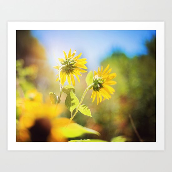 summer sun Art Print