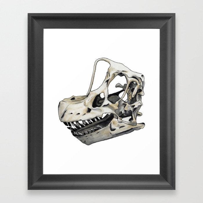 Brachiosaurus Skull Framed Art Print