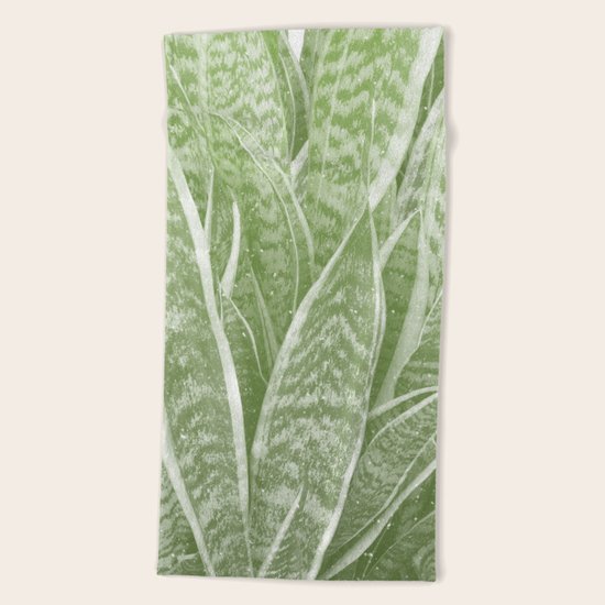 Sanseveria Beach Towel