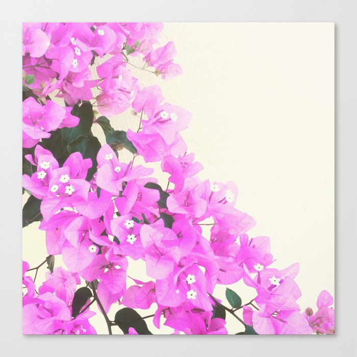 Pink Grecian Flowers Canvas Print