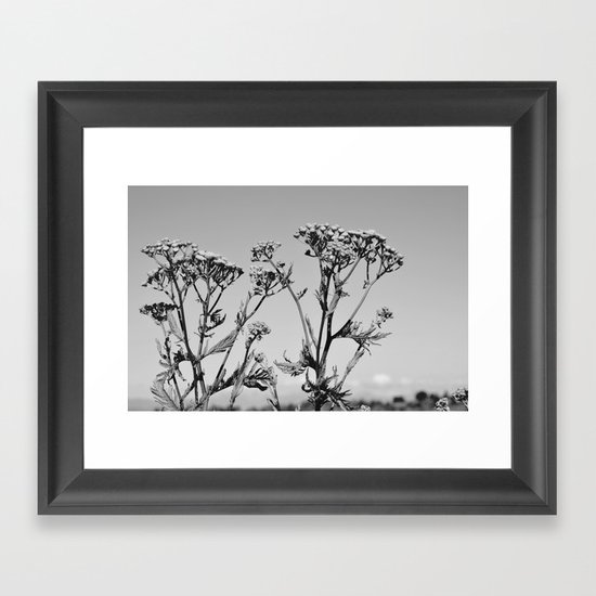 Weeds Framed Art Print