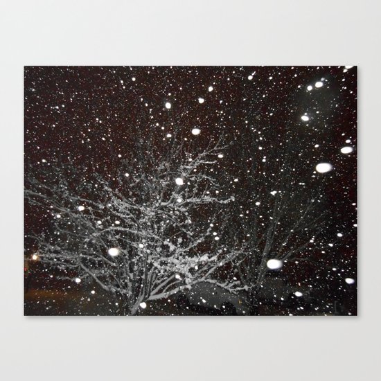 Night Snow Canvas Print