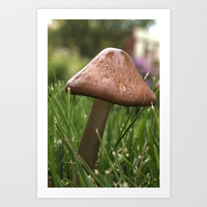 Brown Mushroom Art Print