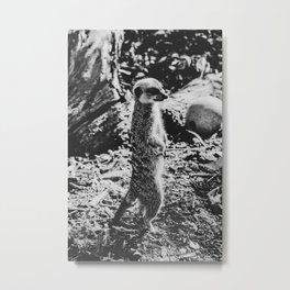 Nosy lil guy Metal Print