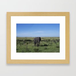 Elephant Masai Mara Framed Art Print