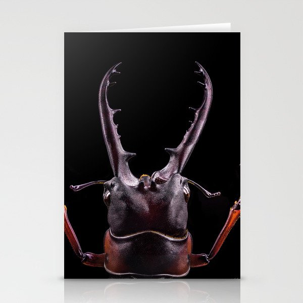 MACRO EXTREME Lucanus Cervus, Stag Beetle, Hirschkäfer Stationery Cards