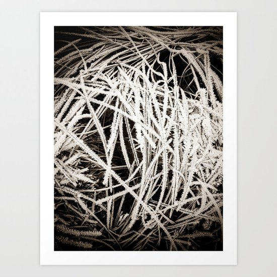 Winter#2 Art Print