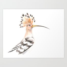 Hairy Bird Art Print