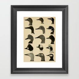 Vintage Duck Heads Framed Art Print