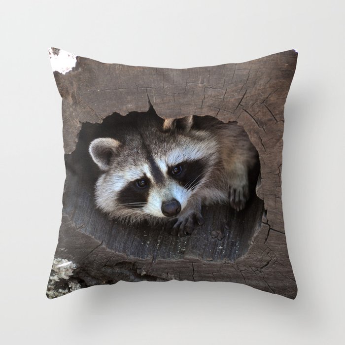 Hiding baby raccoon Throw Pillow