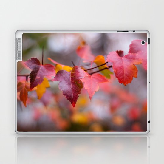 Red Laptop & iPad Skin